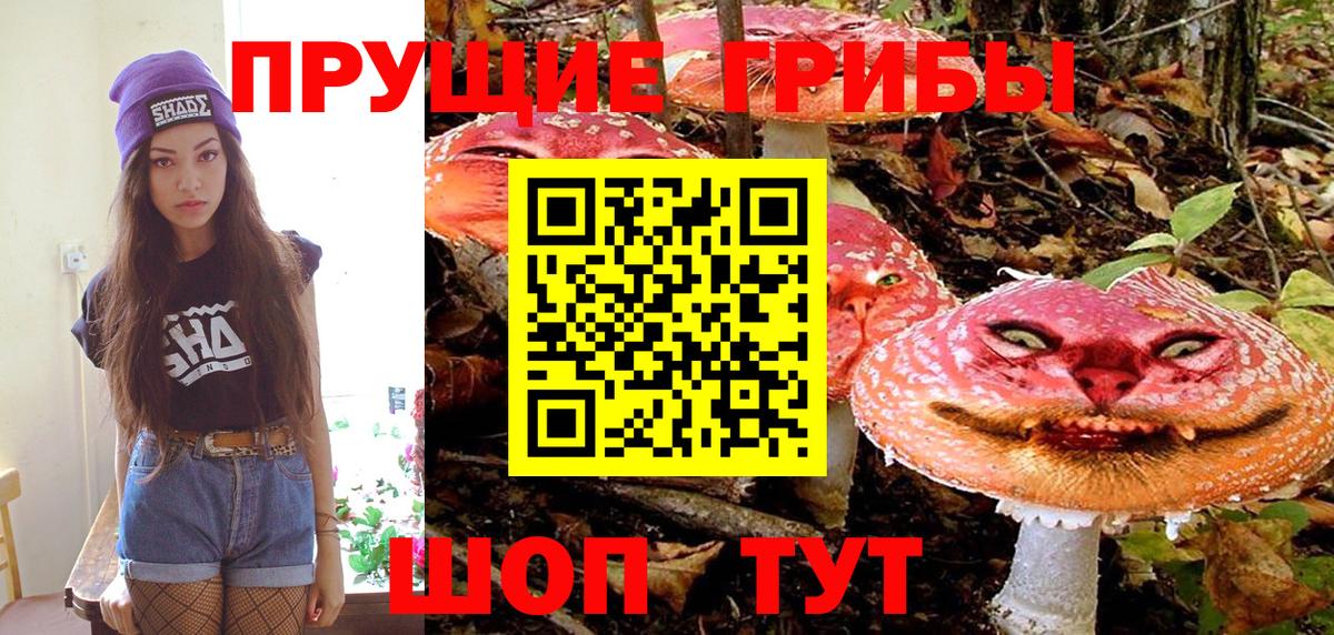 Псилоцибиновые грибы Psilocybine cubensis Нижний Тагил