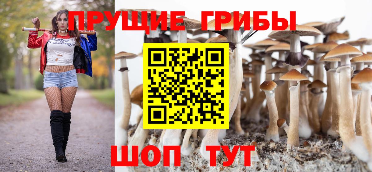 Галлюциногенные грибы Magic Shrooms  Вход с VPN  Нижний Тагил 